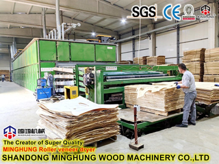 Technologie d'équipement de séchage à rouleaux de placage de bois pour contreplaqué