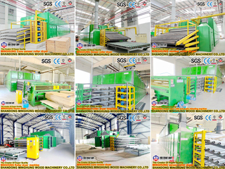 Machine de transformation du bois Ligne de production de contreplaqué